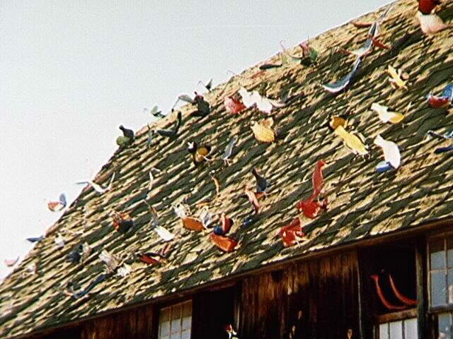 Roof of the Barn with Birds