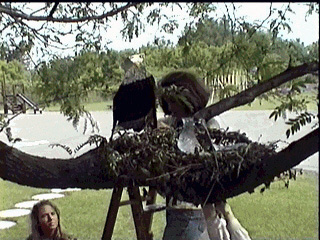 Jane Ingram Allen's Bird Watching Project New York Mills School