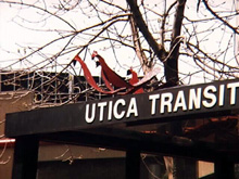 Utica Birds on a Bus Shelter