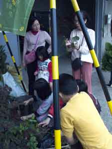 girl beating bark off branches