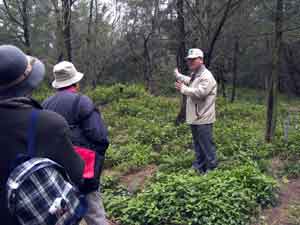 Chief Ho leading the tour