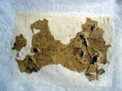 Kinmen paper map