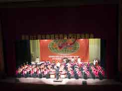 traditional Chinese orchestra