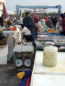 fishing port fish market