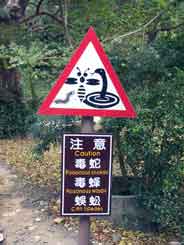danger snakes etc