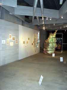 Exhibit of Jane's work