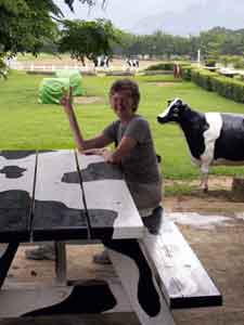 Jane at cow bench