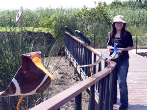 Wu Ling-i Director of Guandu Nature Park and Jane's Birds