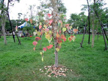 loudong_nature_center_wishing_tree